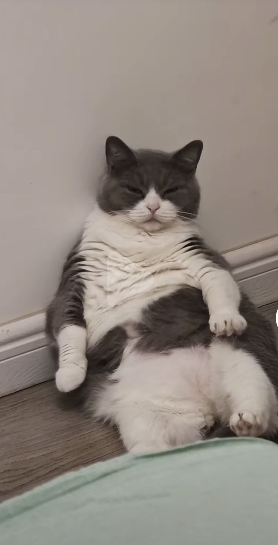 【仙境传说重生攻略】-浅谈猎人个人心得截图