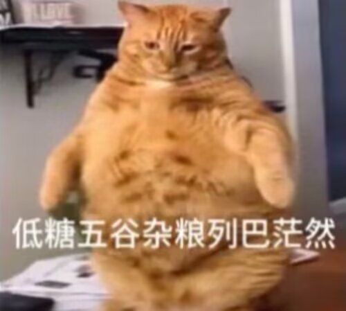 81%的膳具收集率截图