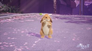 参与春游寻趣，获取精美宠物时装和家具！