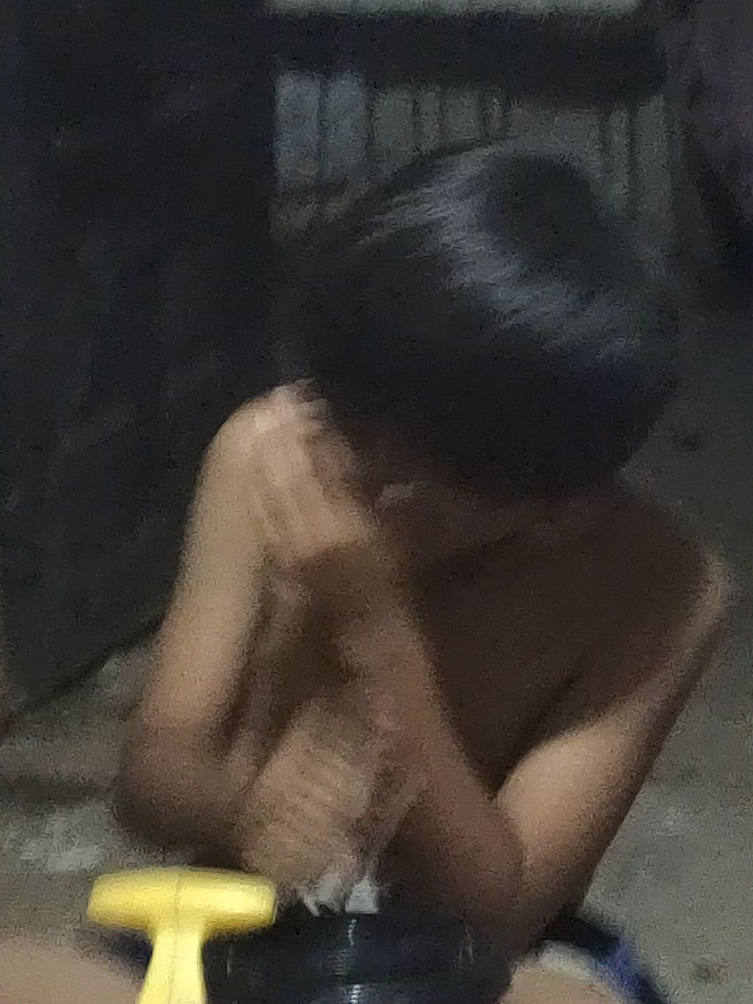 动态图片 13