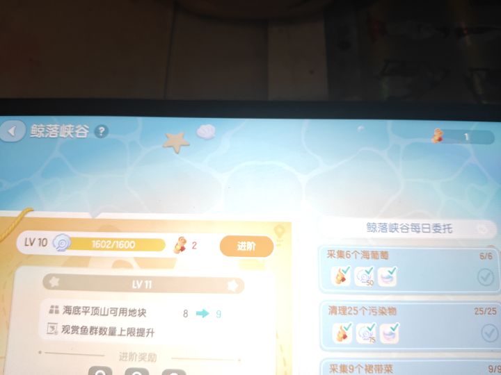 今日任务已完成，明日爱好直升6级截图