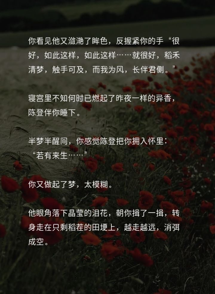 而我为风,常伴君侧截图