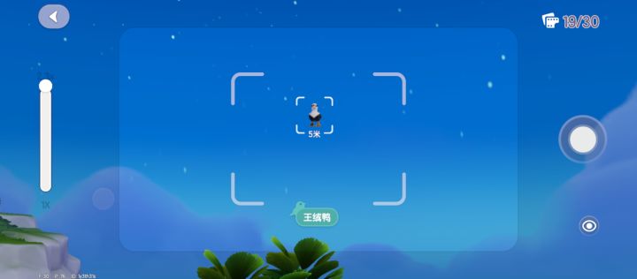 王绒鸭,王绒鸭,空中的王绒鸭截图