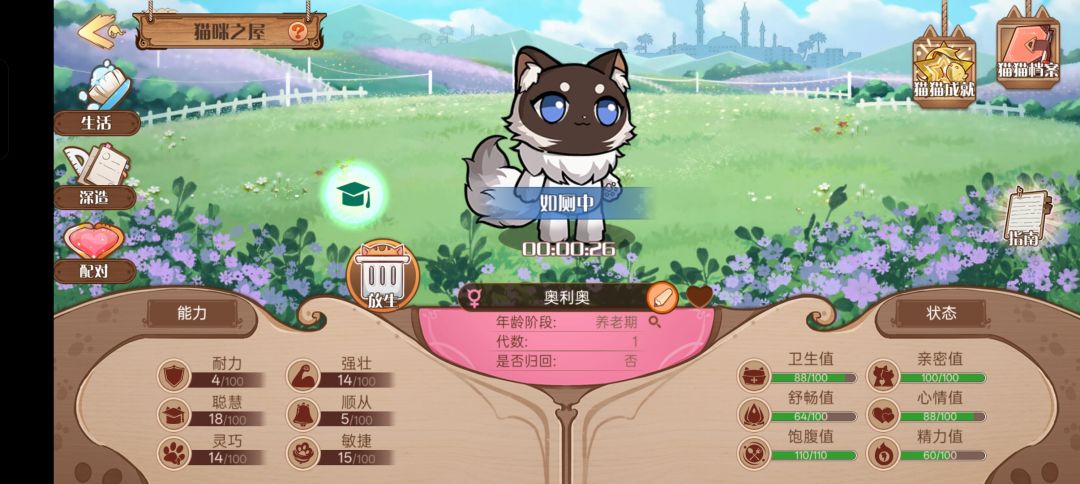 养猫,这是正常的吗? 1