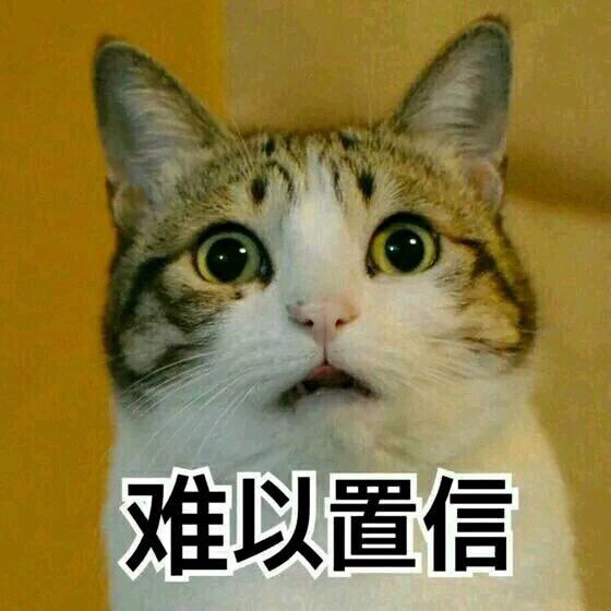 熊魄丹有丹方么截图