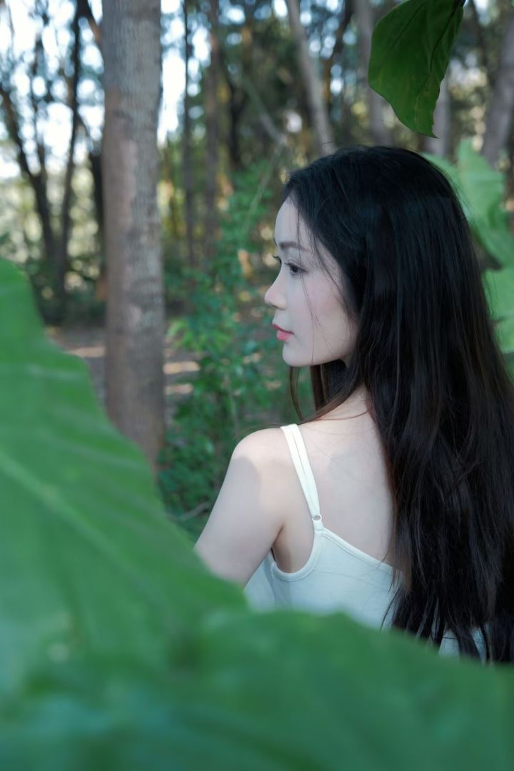 篝火腾飞截图