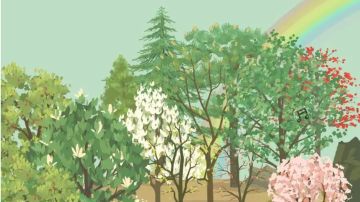 【记录】一缕ouo_的山