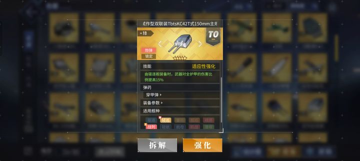 问一下，这个诡异的装备是啥意思？驱逐装备加伤，但驱逐装不了，太抽象了。截图