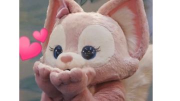 【狐】 猫之城 定向作战-红 最快速刷阵容