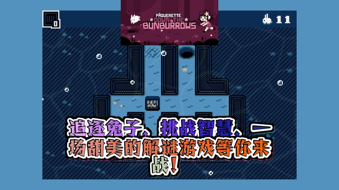 video-3614211
