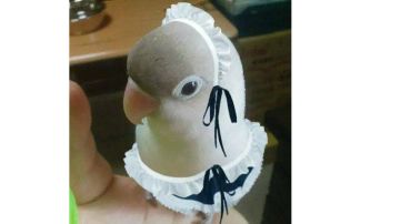 【泼墨忍】【群怪大米】【中上练度】凝渊版本120层攻略