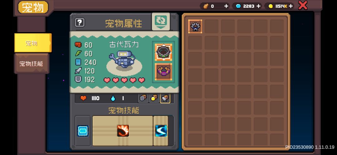 宠物装备的新搭配截图