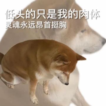 猎马攻略