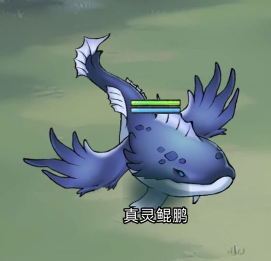 动态图片 6