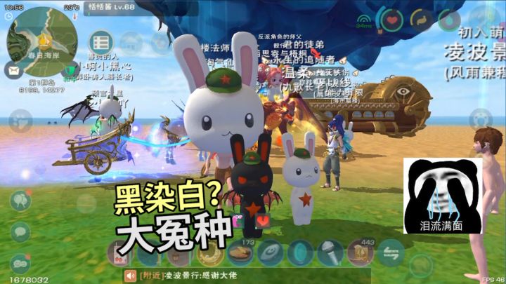 当了回创魔大冤种!只有我1个人以为这是黑兔染色成白兔子装吗?截图