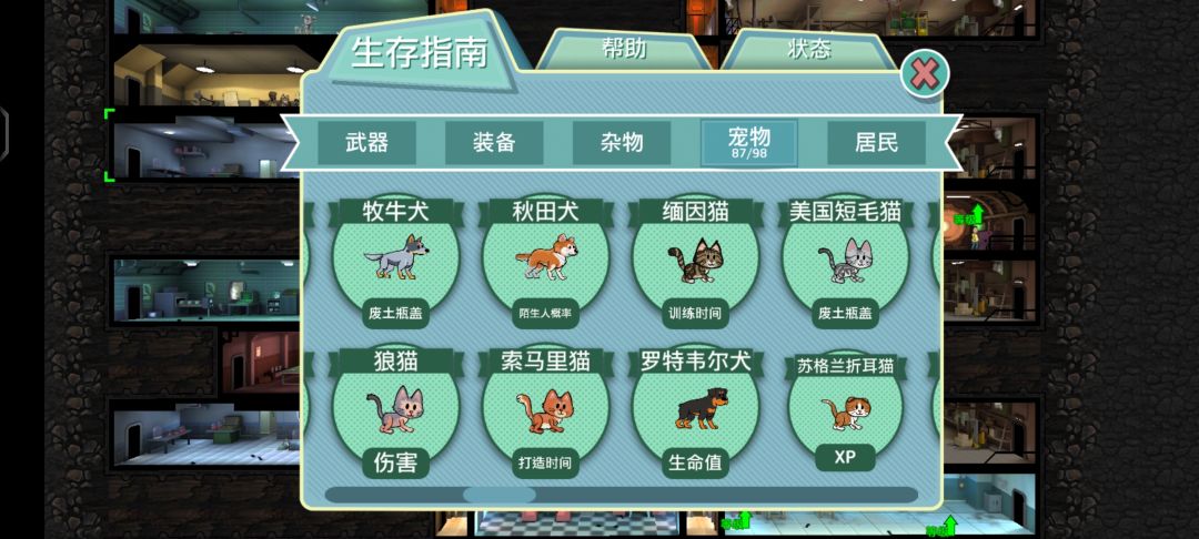 宠物普通款集齐 5