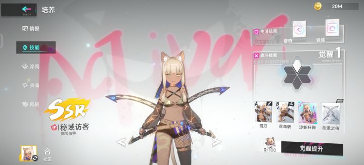 黑皮猫咪截图
