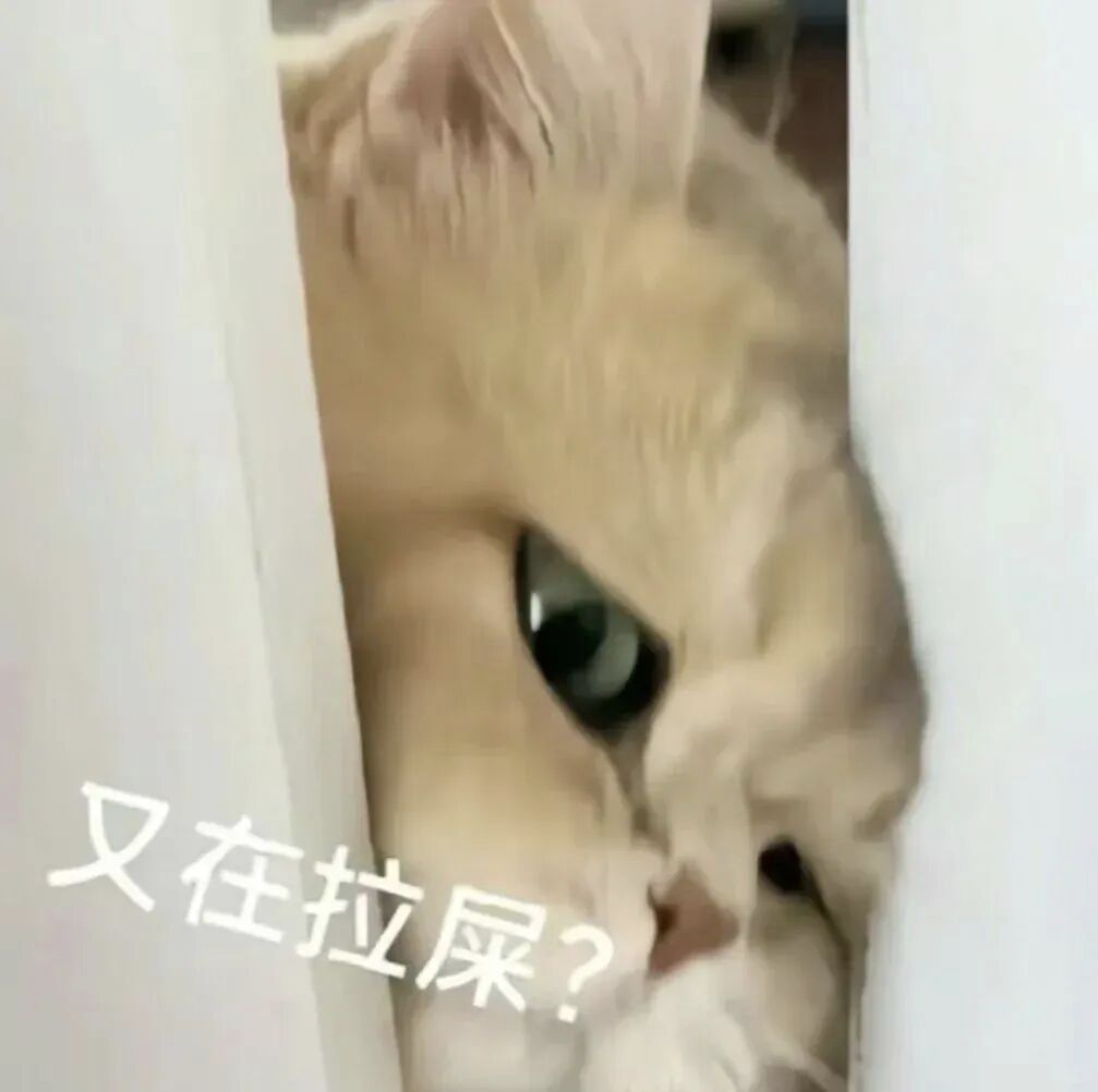 迷案回首复刻什么时间开启? 1