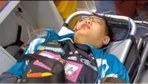 鹅鹅鹅。 1