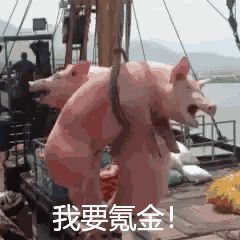 饼真香截图