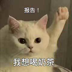 奶茶屋越来越热闹啦！🔥试运营顺利！和大家同步一下近况！