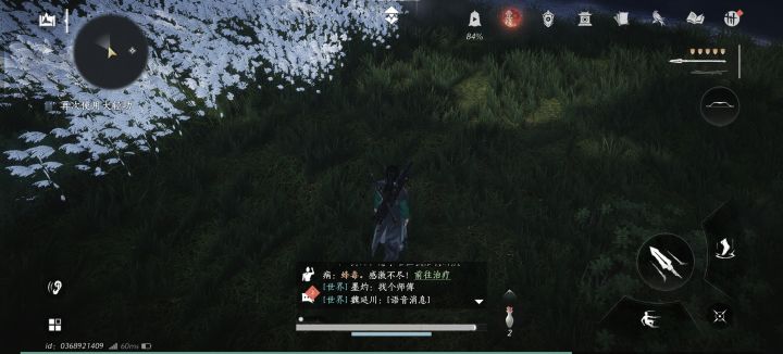 救命啊，这个大轻功怎么用任务过不去截图