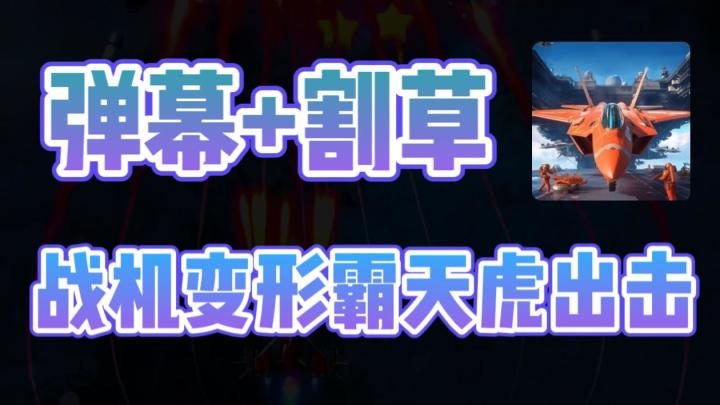 【爽!】飞机+弹幕+肉鸽割草截图
