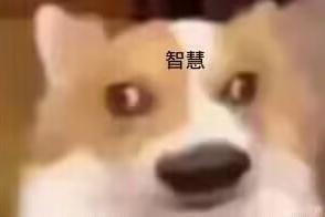 霸十截图