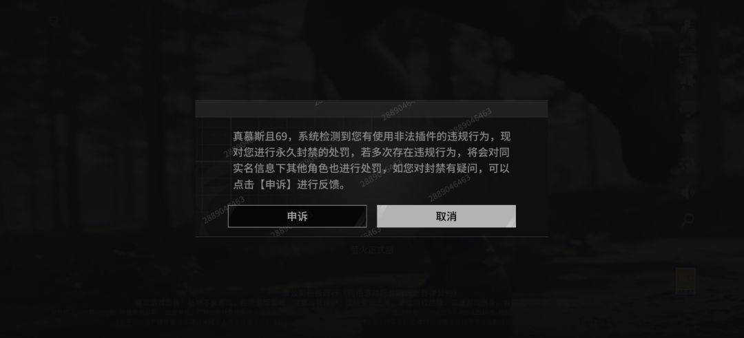 开分身用小号装车大号也算外挂被永久封禁呗 1