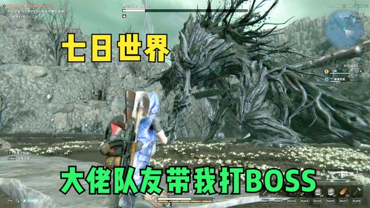 七日世界:叫上队友打BOSS,孽生树妖有点强,一个人打不动!截图