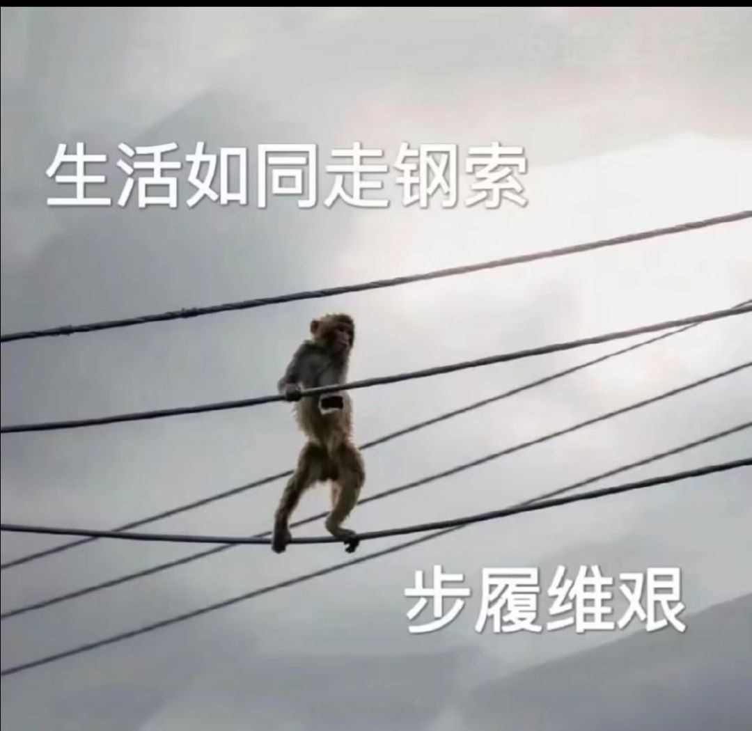 菜鸡的摸爬滚打 2