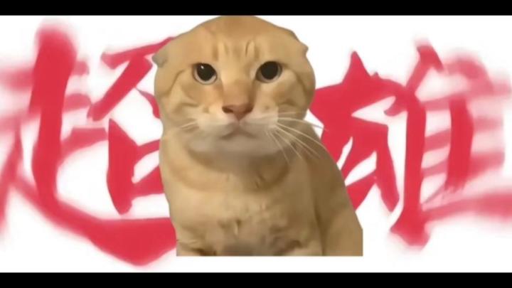 游戏很好玩👍👍👍截图