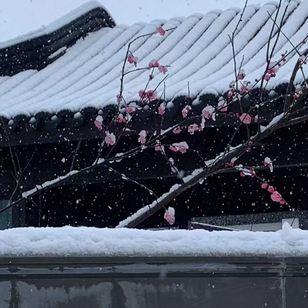 13区雪落的庇护所招人 3
