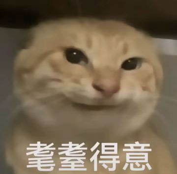 玩托拉姆最爽的配置还得是三输出一坦喵