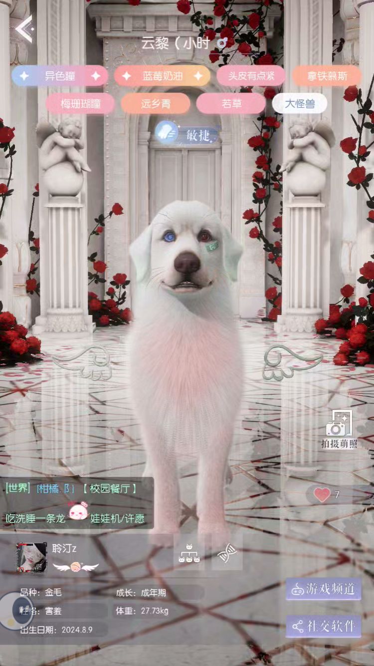 动态图片 1