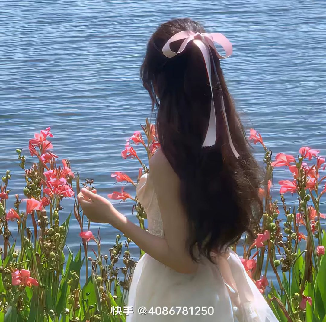 动态图片 10