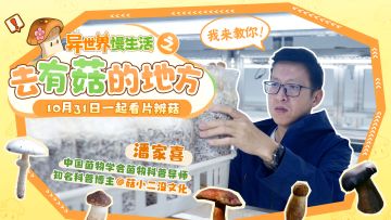 🎁我来教你！野外辨菇这种事情真的很重要！|奇遇剧情片前瞻