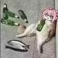 求下洞老哥 1