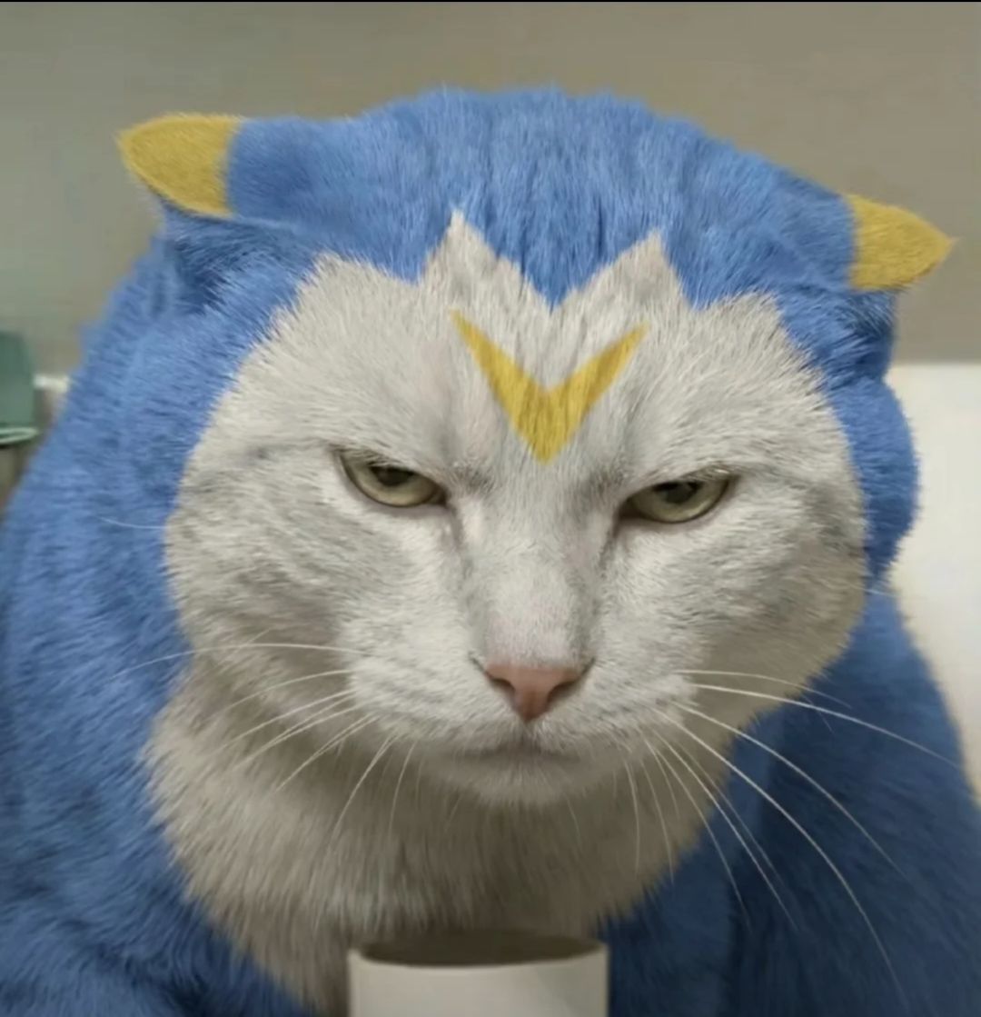 放置江湖新手零转门派推荐（大半亲身体验）截图