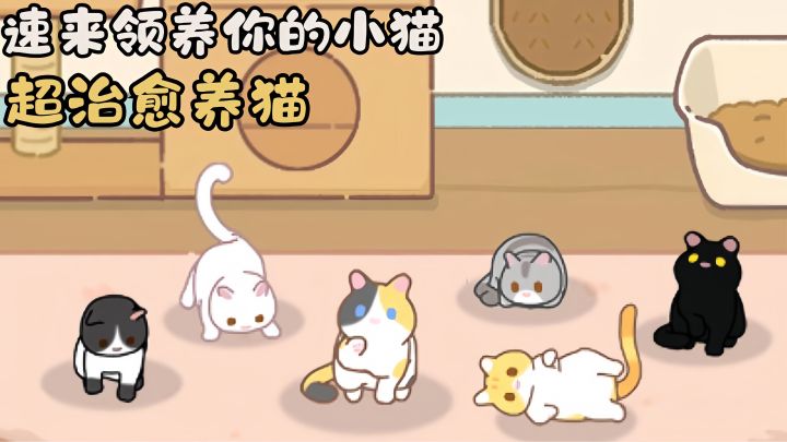 太细节了❗️谁能拒绝一直软乎乎的小流浪猫啊🐱截图