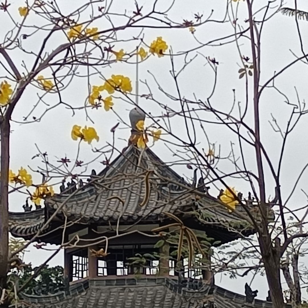 纯手欠,无聊(不喜勿喷) 6