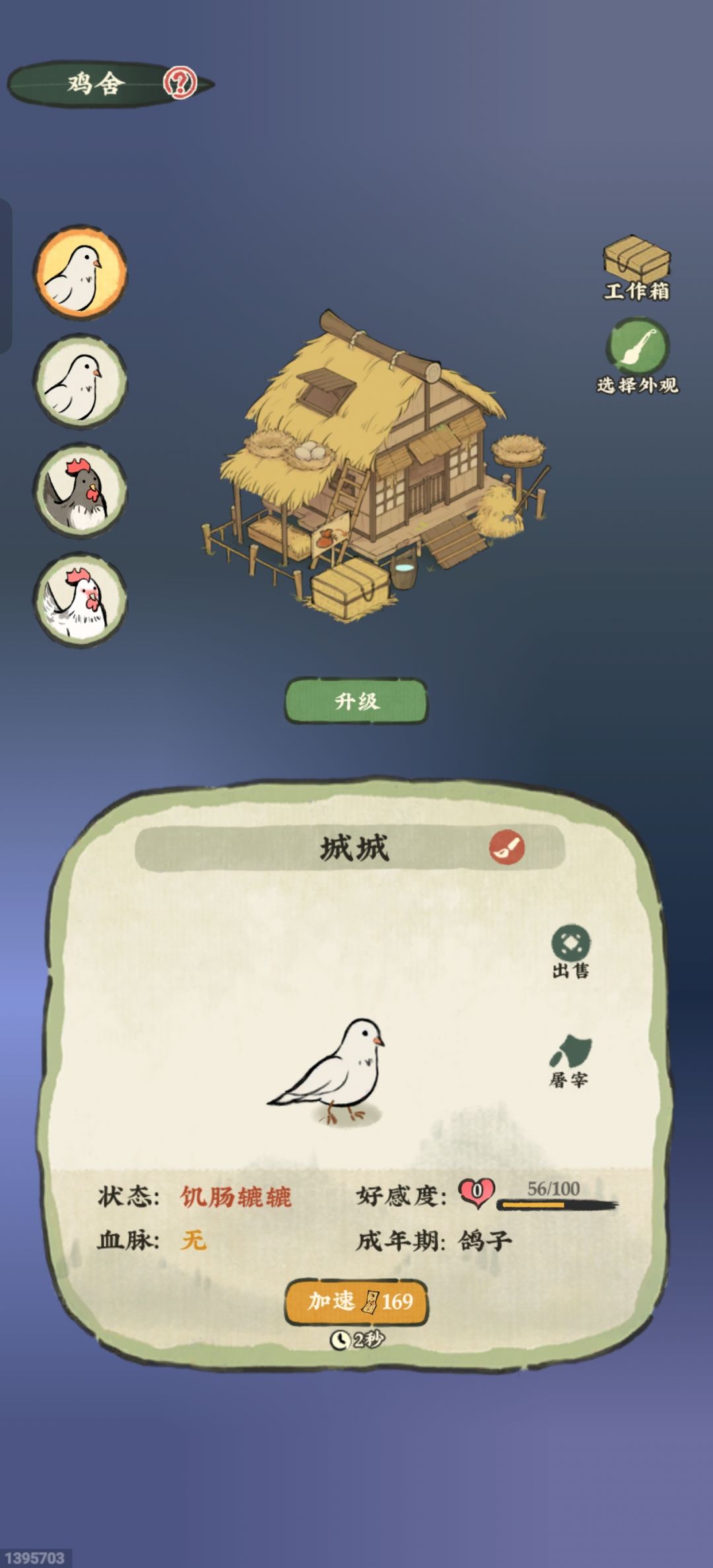 为什么鸡不吃鸡饲料? 2