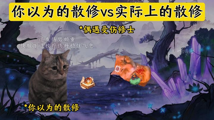 你以为的散修VS实际上的散修截图