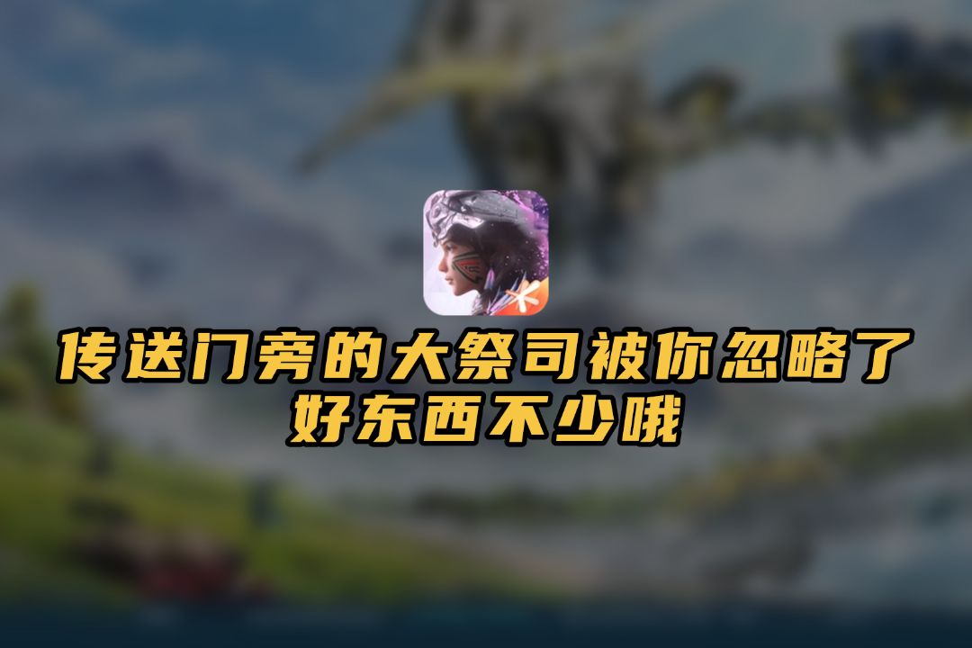传送门旁的大祭司被你忽略了？好东西不少哦截图