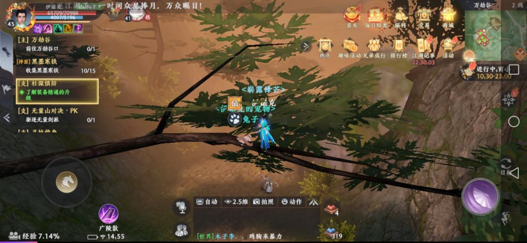 树中逗宠 新手宠物 1