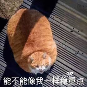 给萌新干货，奖励拿满一分不氪！看完