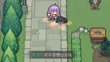 关于宠物技能搭配