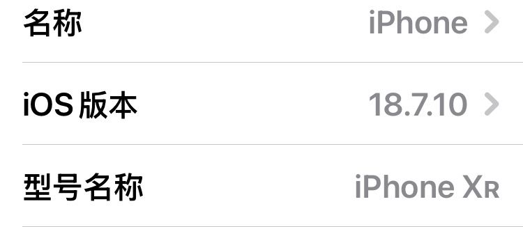 xr玩这个会不会卡啊 1