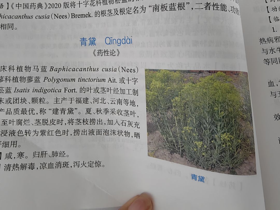 青黛是三清喵 1