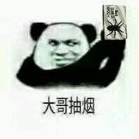 女剑士和精灵王皮肤会返场吗?截图